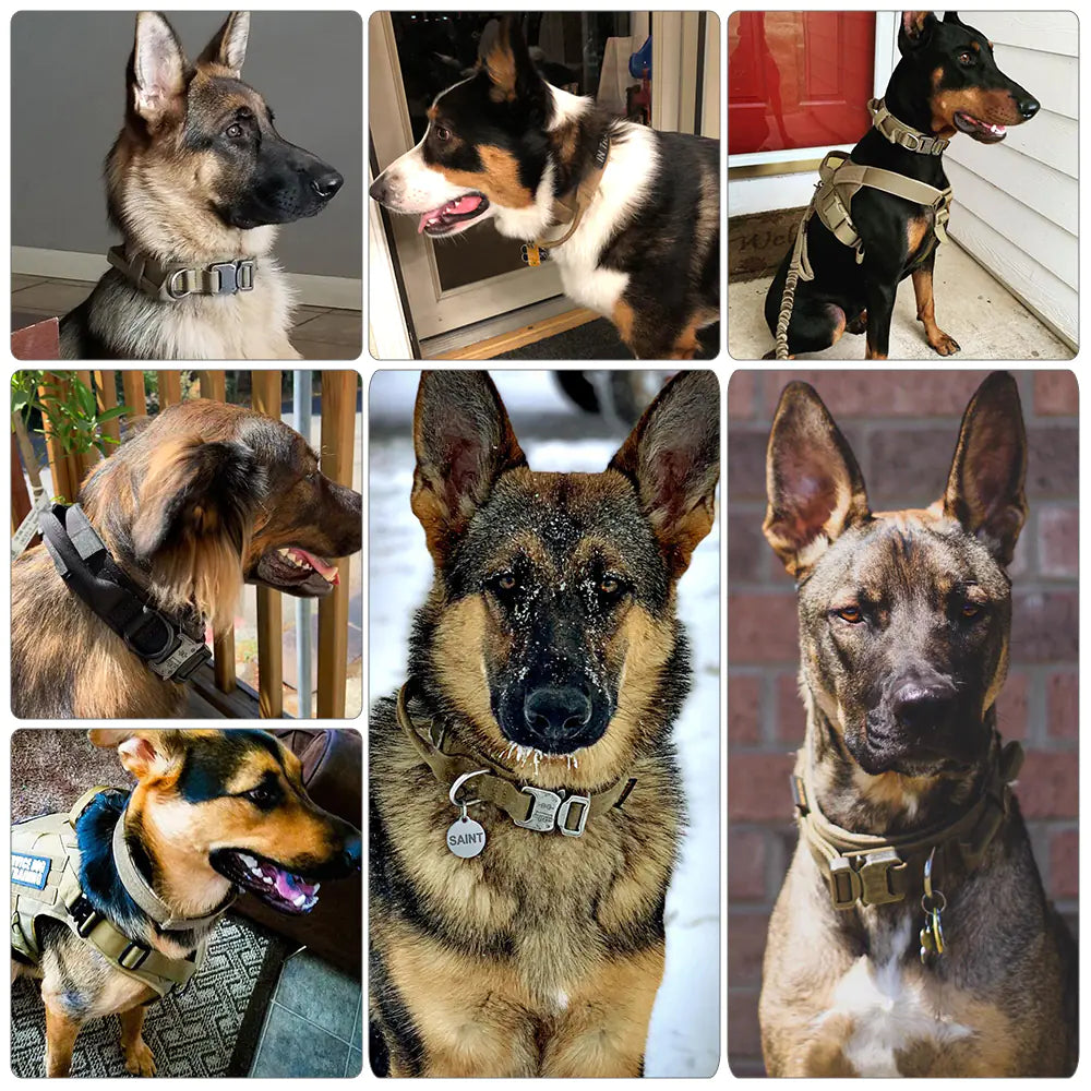 Tactical Adjustable Nylon Dog Collar with Camouflage