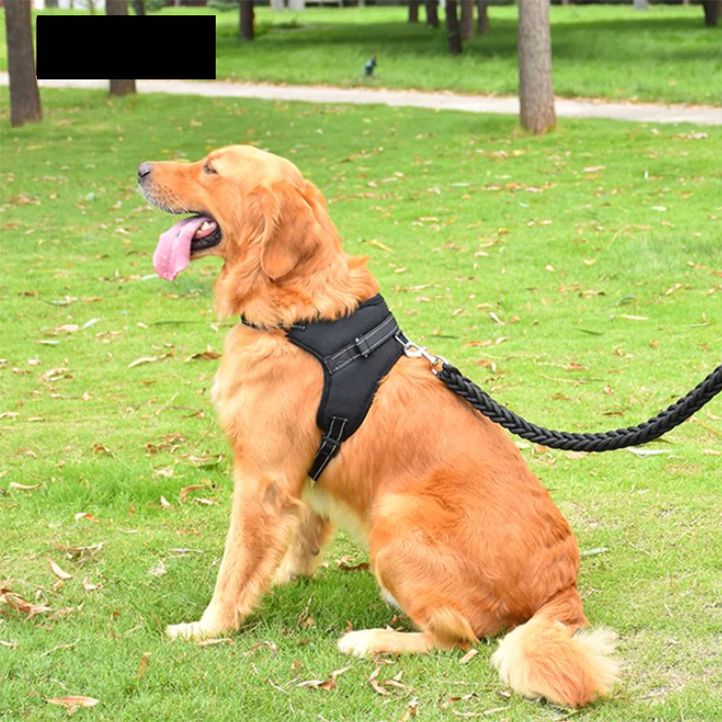 Adjustable Dog Harness and Reflective Leash Set
