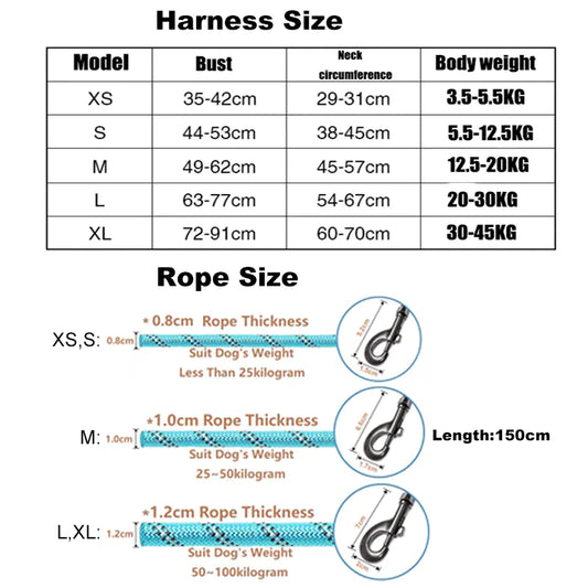 Adjustable Dog Harness and Reflective Leash Set