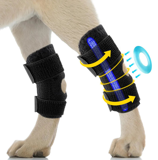 Dog Rear Leg Support Strap