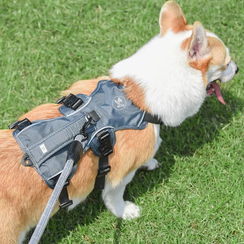 Adjustable Nylon Pet Dog Harness