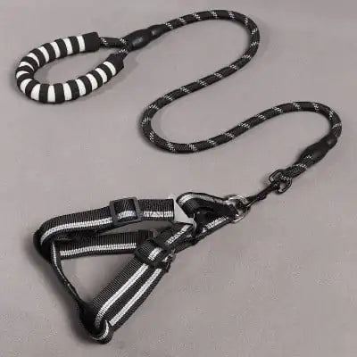 Dog Leash and Chest Harness for Pet Supplies